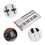 Ultra-Portable 25-Key USB MIDI Keyboard