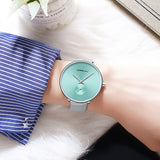 Luxury Casual Minimalist Waterproof Quartz Watch