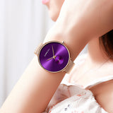 Luxury Casual Minimalist Waterproof Quartz Watch